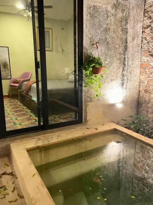 Casa Coco Villa Mérida Tatil Evi