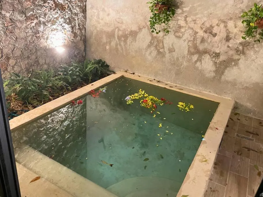 Tatil Evi Casa Coco Villa Mérida
